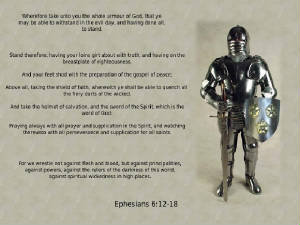 armor4.jpg