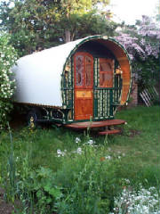gypsy1.jpg